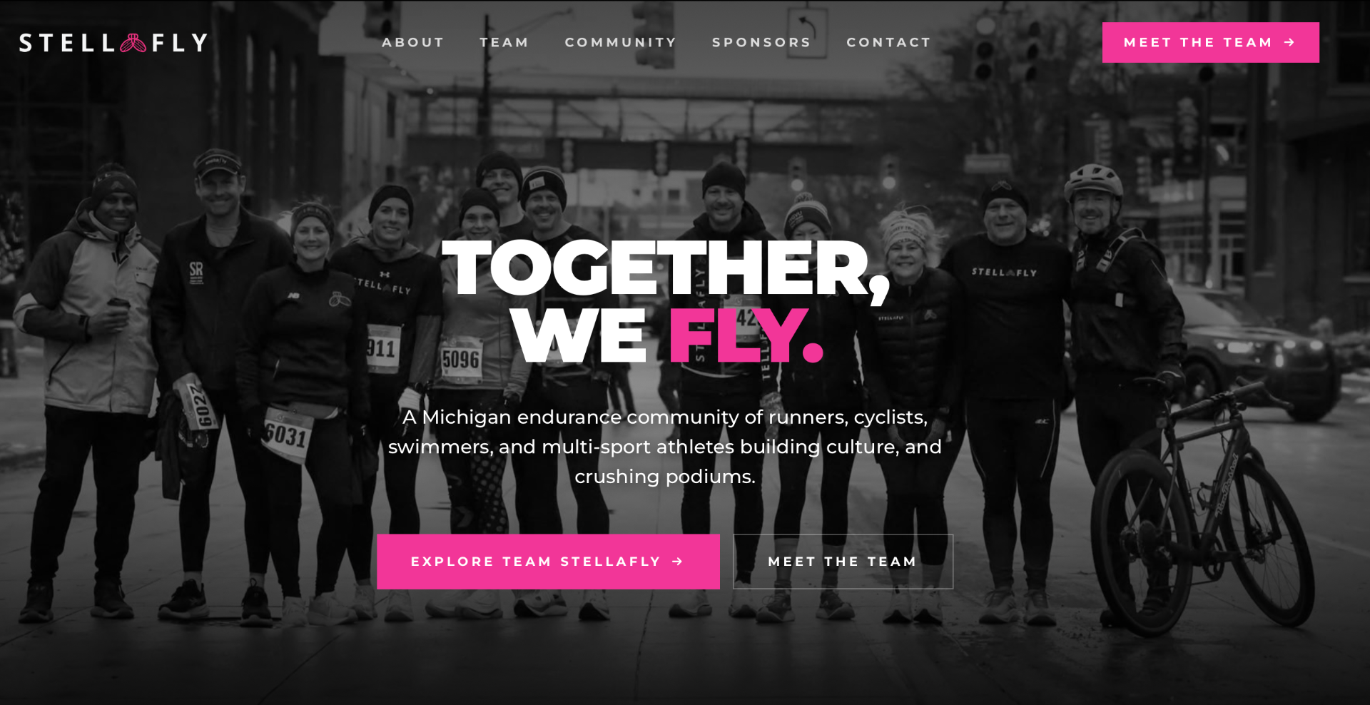 Team StellaFly homepage hero — 'Together, We Fly' with team members lined up